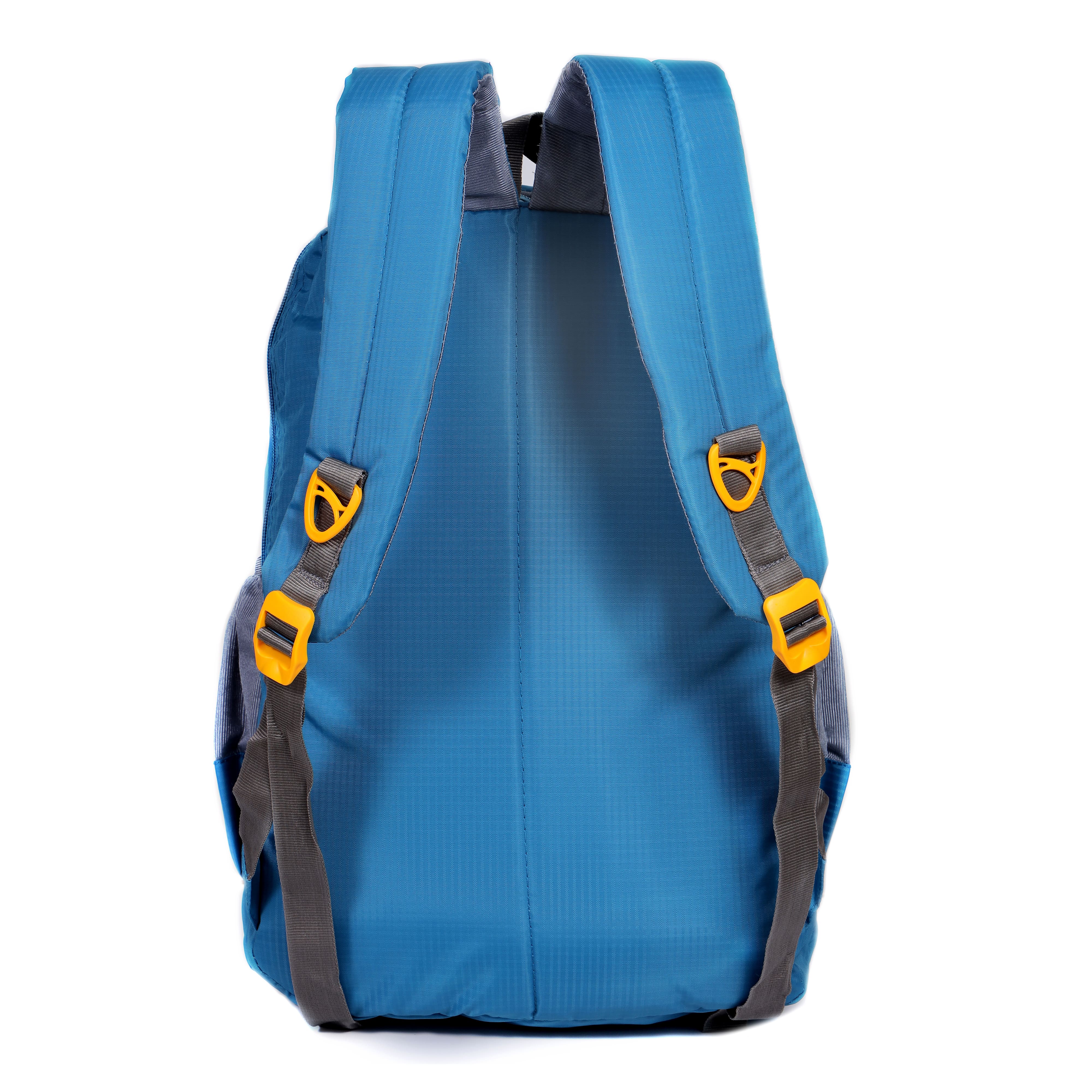 Backpack View 2